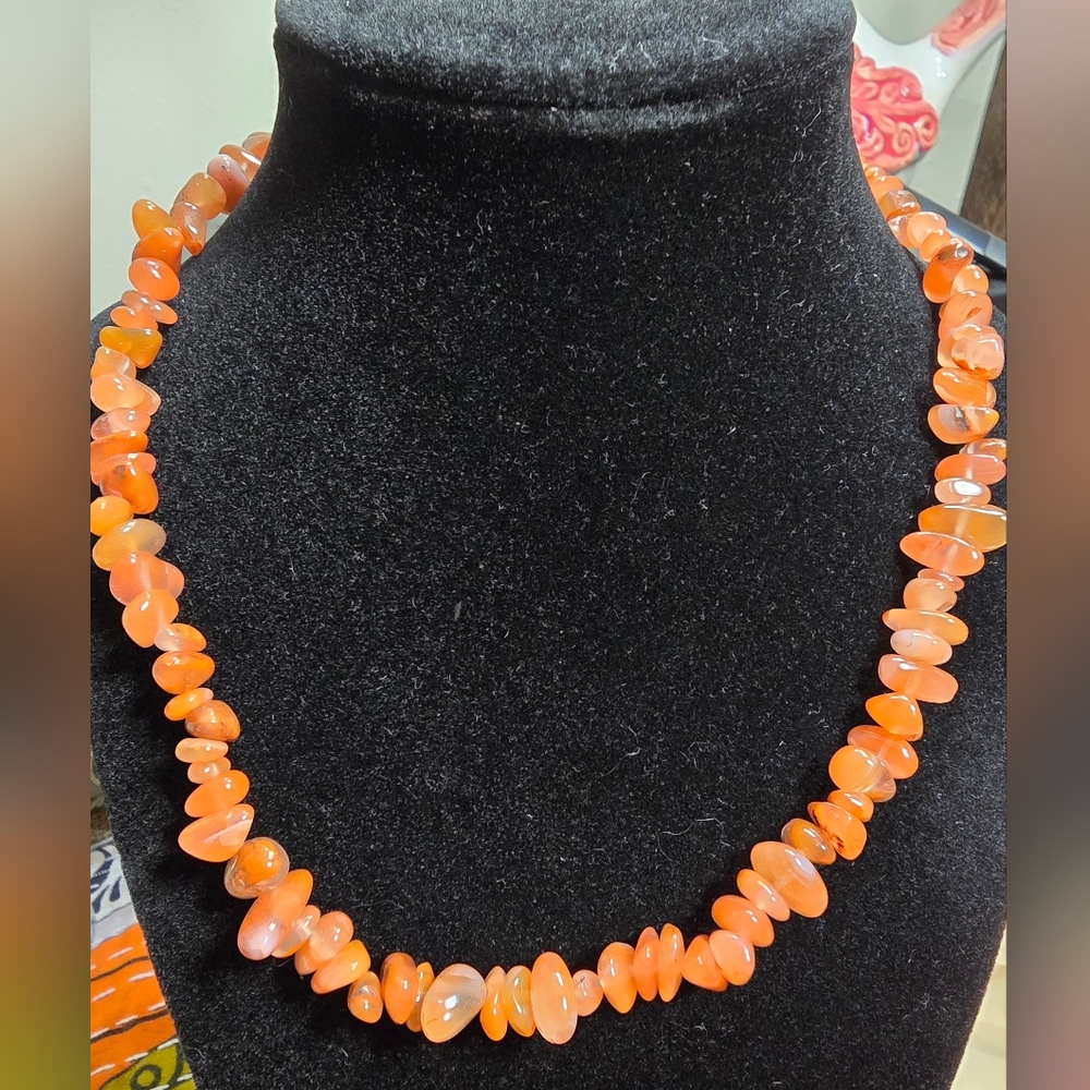 Stunning Carnelian Chip Necklace With Toggle Closure ON SALE 🔥